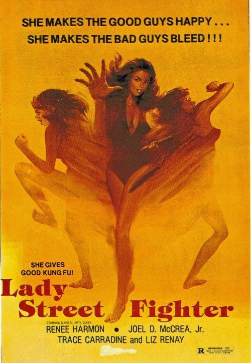 [18+] Lady Street Fighter (1980) English ORG HDRip Full Movie 720p 480p Movie